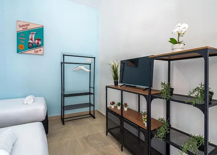 Simba In W/ Terrace * Λάρνακα